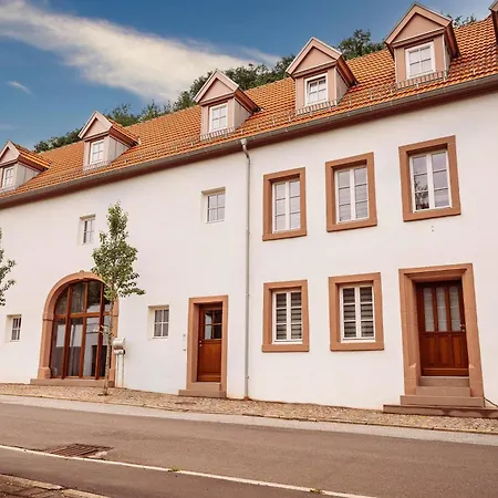 Erasmus 1901 Apartments