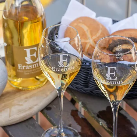 Apartment Erasmus 1901