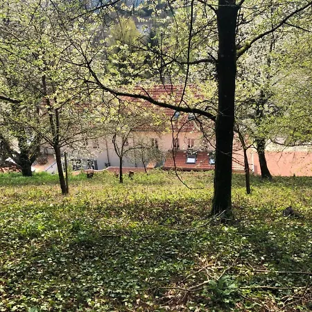 Erasmus 1901 Apartments דירה *