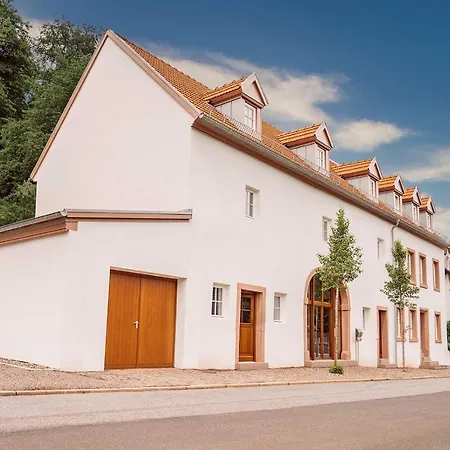 Erasmus 1901 Apartments Trassem