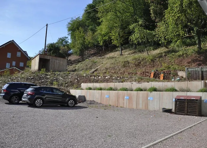 Apartament Erasmus 1901