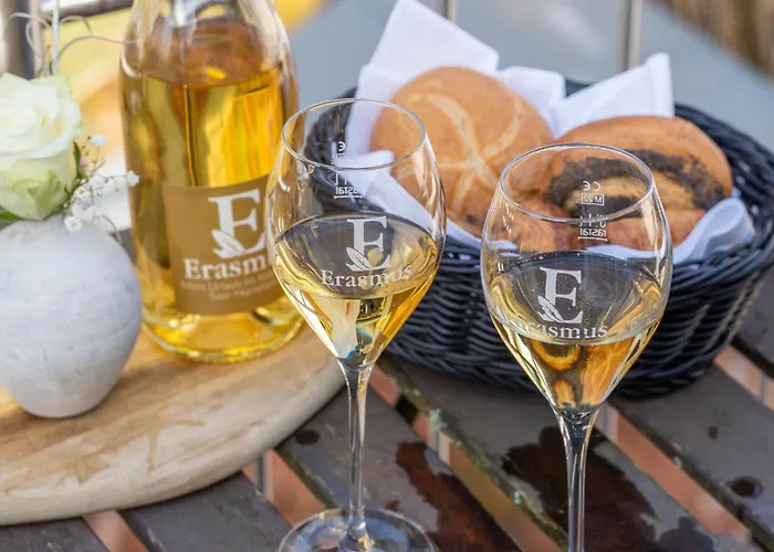 Apartment Erasmus 1901