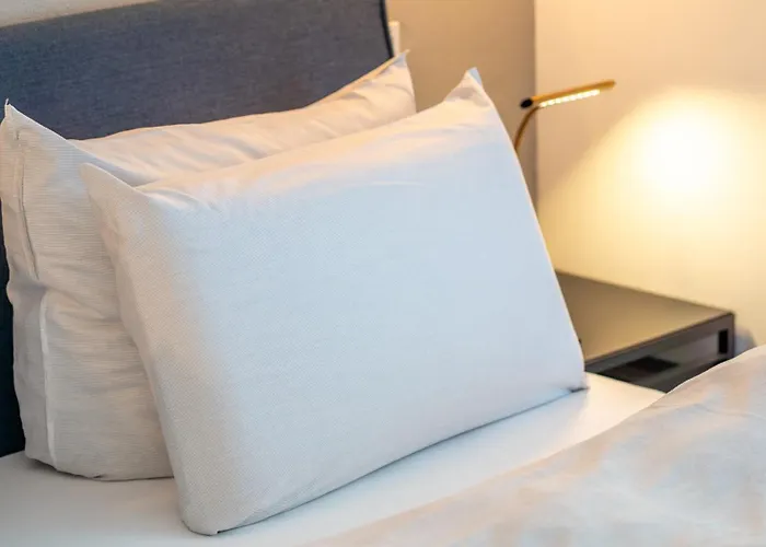 Apartment Erasmus 1901