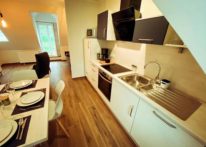 Erasmus 1901 Apartament *