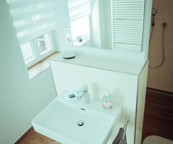 Apartament Erasmus 1901