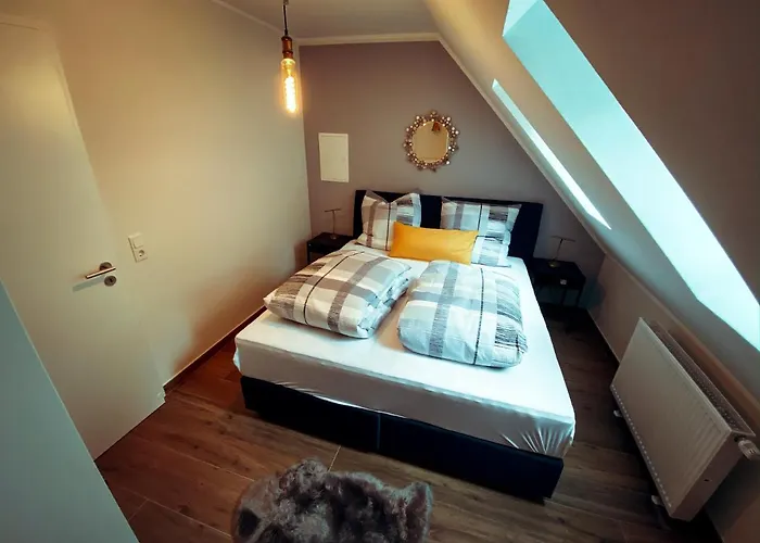 Apartament Erasmus 1901