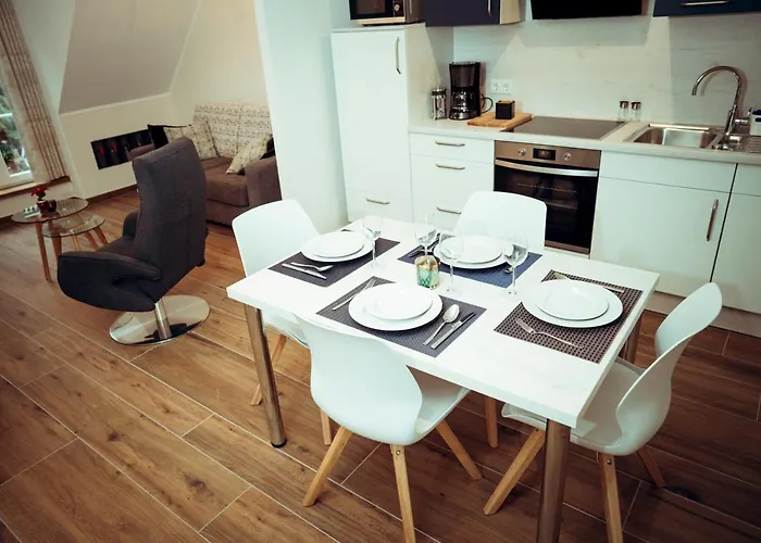 Apartament Erasmus 1901