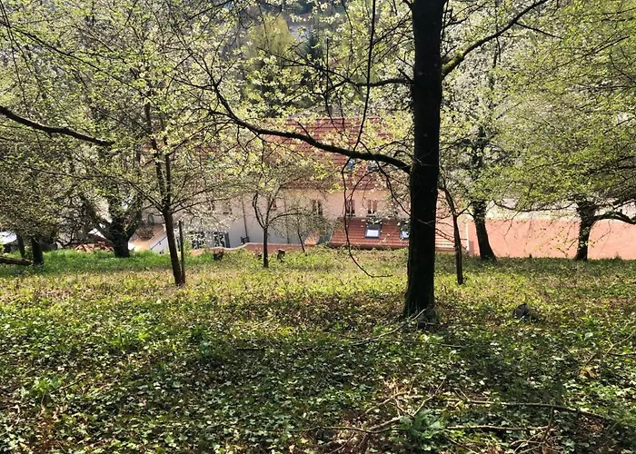 Erasmus 1901 Apartament *